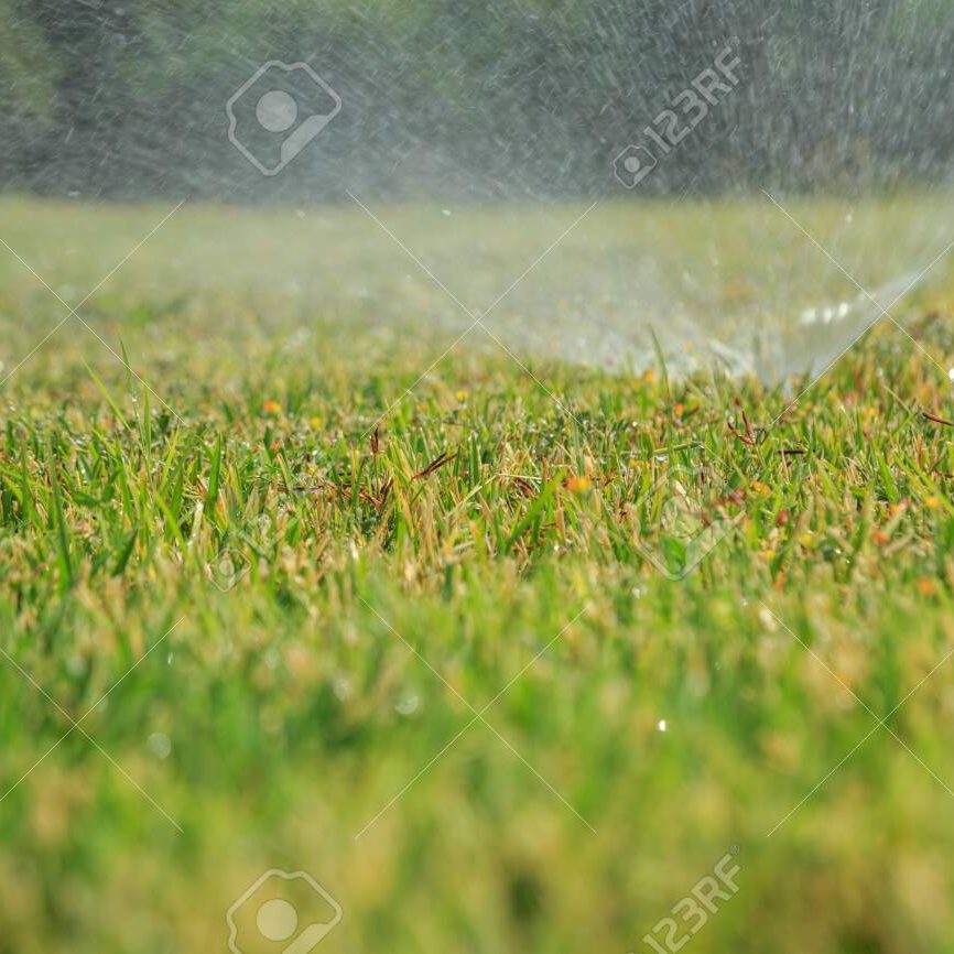 sprinkler watering the green grass on a sunny summer day